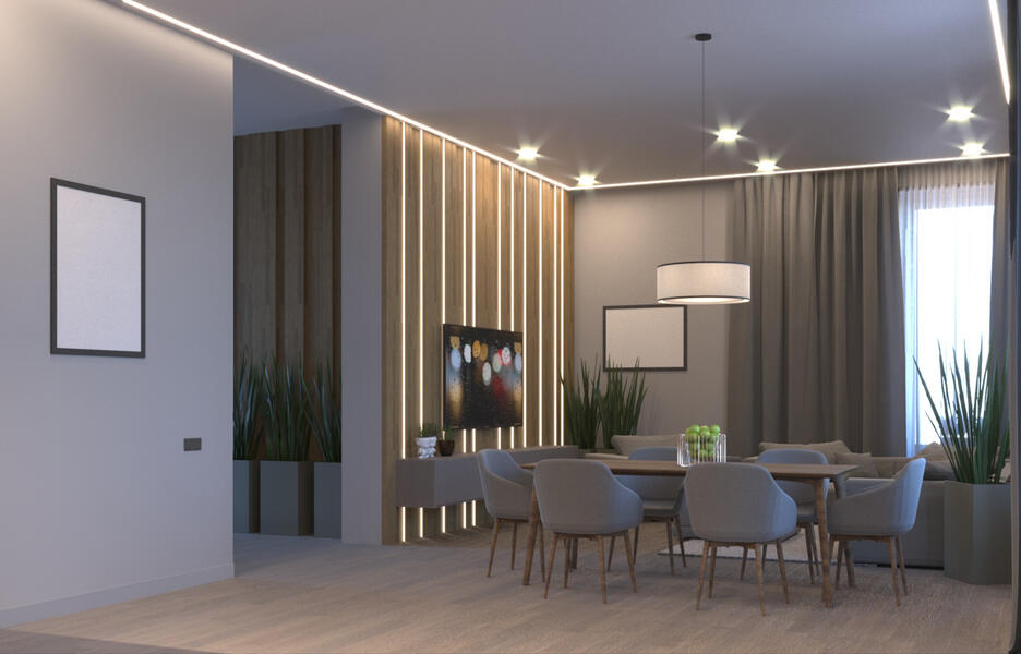 Living room &amp; Dining zone