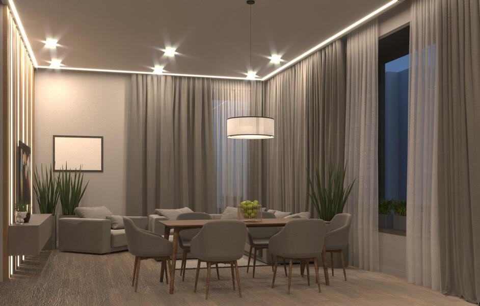 Living room &amp; Dining zone