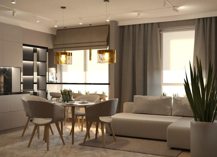 Living room &amp; Dining zone &amp; Kitchen